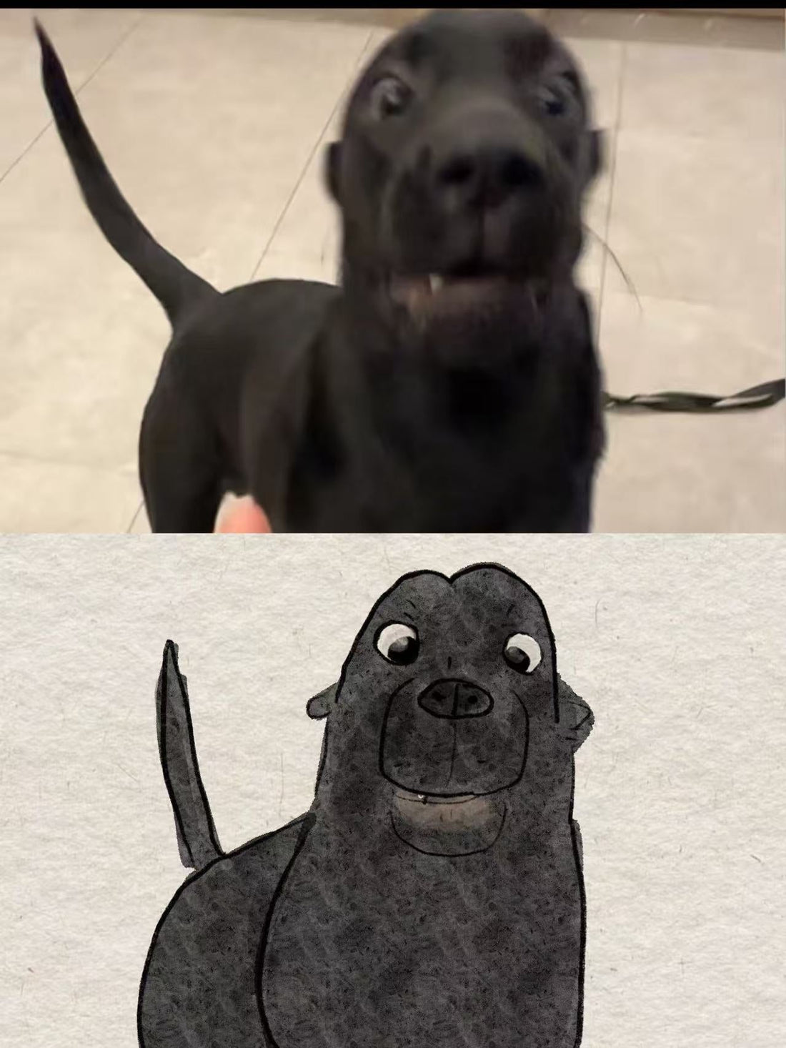 Why Your Etsy Abstract Dog Painting Looks Flat (And Where to Find Real Texture)