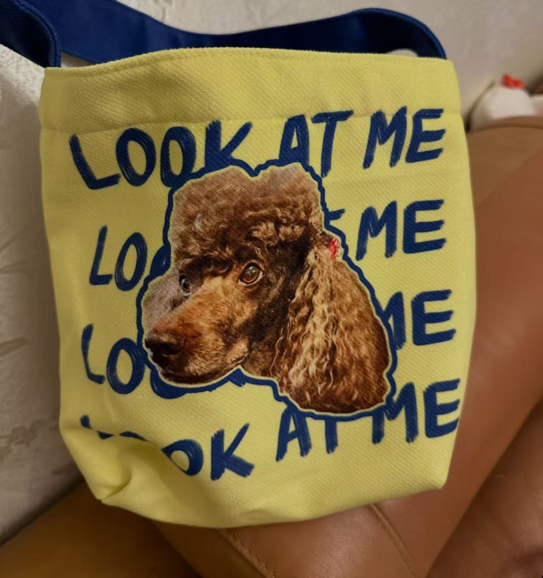 Expectation vs. Reality: Why TikTok Pet Portraits on Canvas Often Miss the Mark