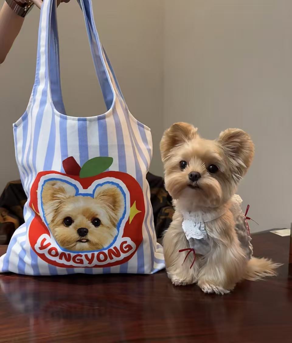 Thinking of Ordering TikTok Pet Portraits on Canvas? Read This Before You Pay